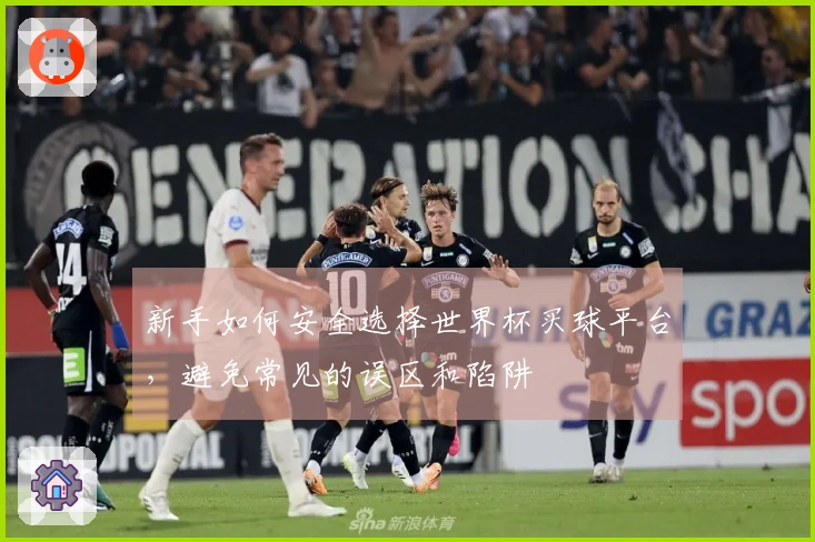 新手如何安全选择世界杯买球平台，避免常见的误区和陷阱