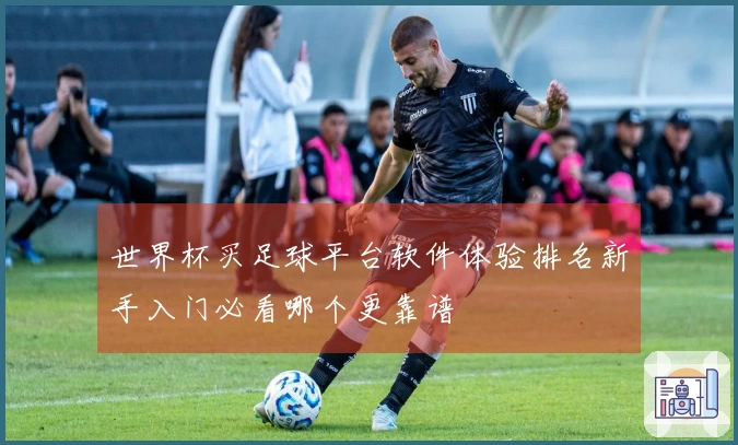 世界杯买足球平台软件体验排名新手入门必看哪个更靠谱