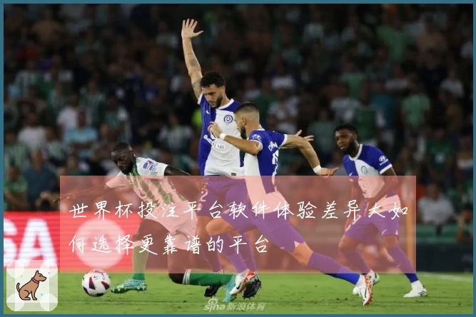 世界杯投注平台软件体验差异大如何选择更靠谱的平台