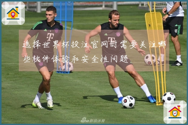 选择世界杯投注官网时需要关注哪些软件体验和安全性问题