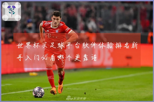 世界杯买足球平台软件体验排名新手入门必看哪个更靠谱